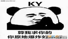 卧槽无情表情包