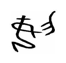 特字五行属什么