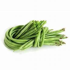 fresh one下载