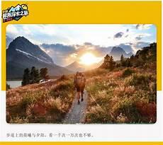 远方除了什么也没有海子