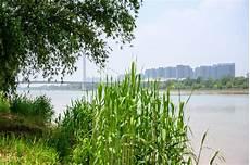 南京河西为啥叫河西