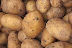 potato安卓下载地址