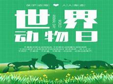 野生动物宣传ppt