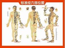 人体穴位图