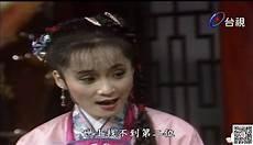 杨丽花许秀年歌仔戏